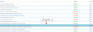 Start Service - Microsoft SharePoint Foundation Sandboxed Code Service