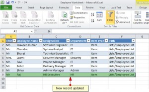 Figure 15 - Item Updated in the Connected Excel Workbook