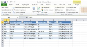 Figure 7 - Excel Web Query File, Shows SharePoint List Data