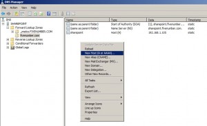 Figure 9 - Creating New Host (A record)