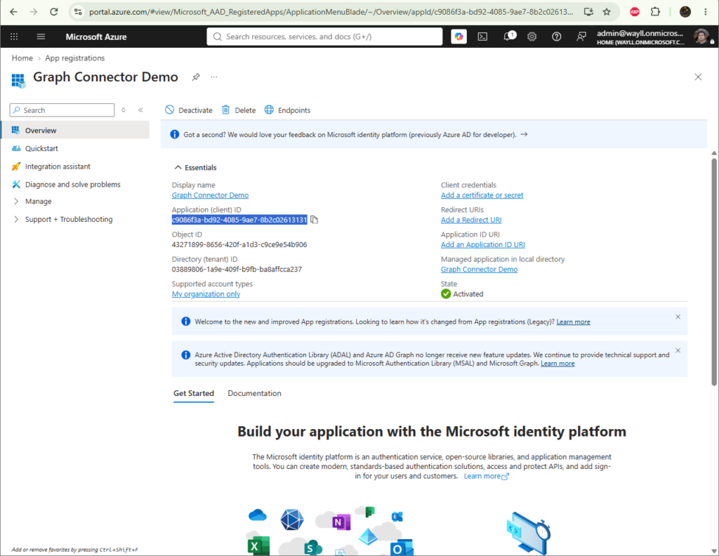 App Overview page showing the Application client ID and the Directory tenant ID